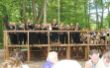 LT Serenade im Park 017 - Kopie.JPG